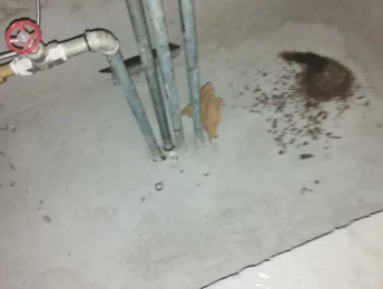 云霄卫生间测漏水价格明细